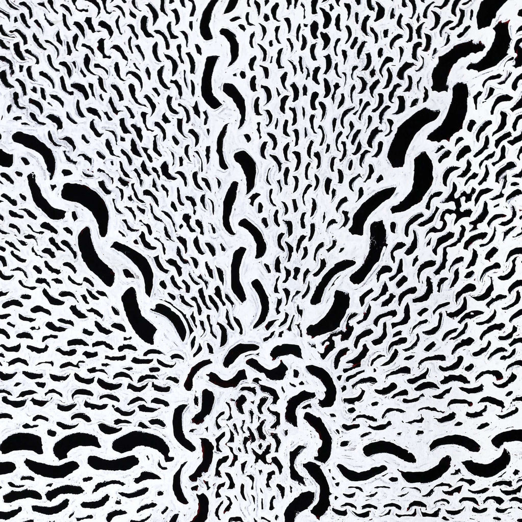 Aboriginal Artwork by Andrea Nungarrayi Wilson, Lukarrara Jukurrpa, 76x61cm