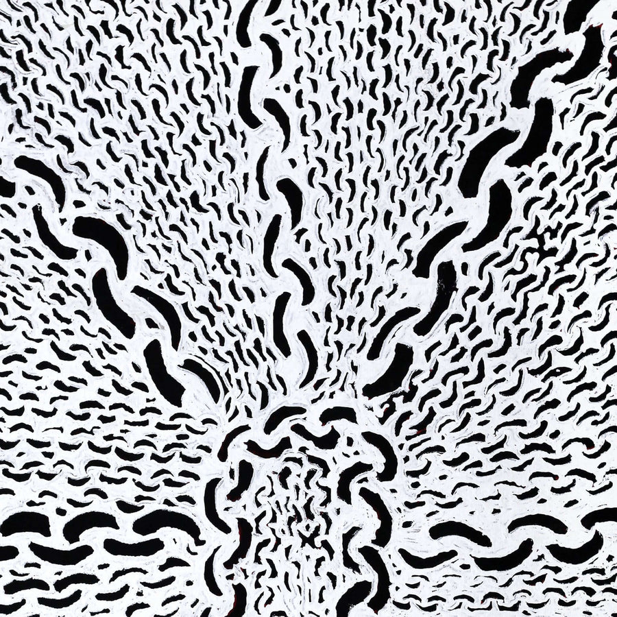Aboriginal Artwork by Andrea Nungarrayi Wilson, Lukarrara Jukurrpa, 76x61cm