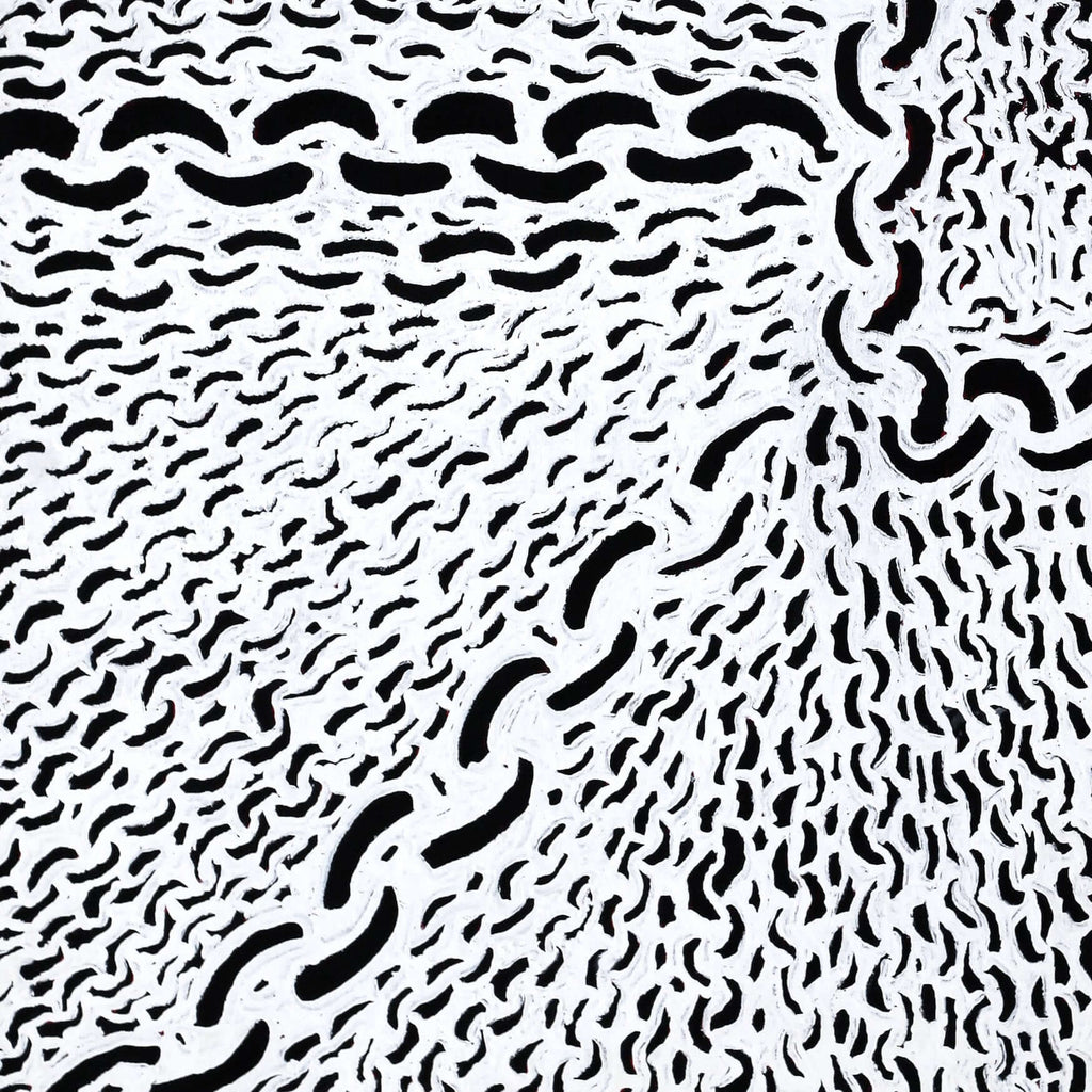Aboriginal Artwork by Andrea Nungarrayi Wilson, Lukarrara Jukurrpa, 76x61cm