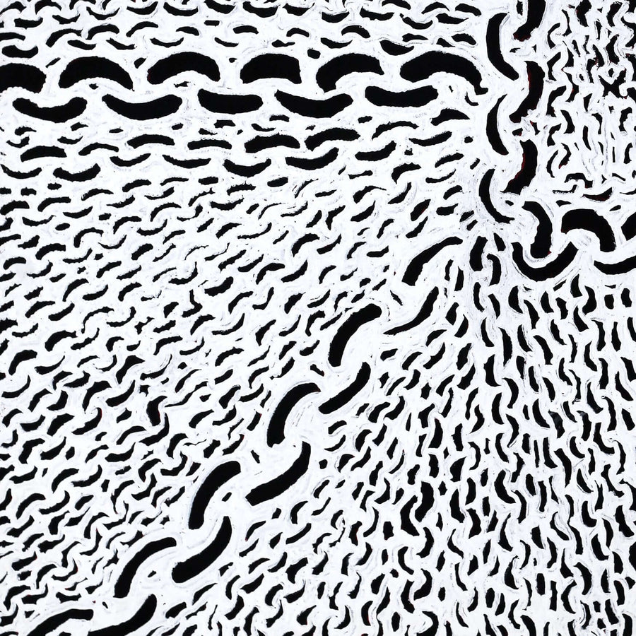 Aboriginal Artwork by Andrea Nungarrayi Wilson, Lukarrara Jukurrpa, 76x61cm
