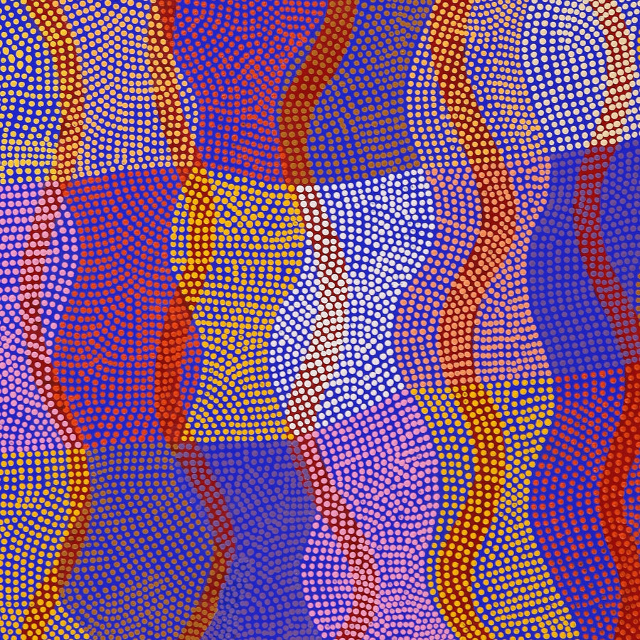Aboriginal Artwork by Ann Lane Nee Dixon, Pirrnpirrnga - Desert Bore, 153x92cm