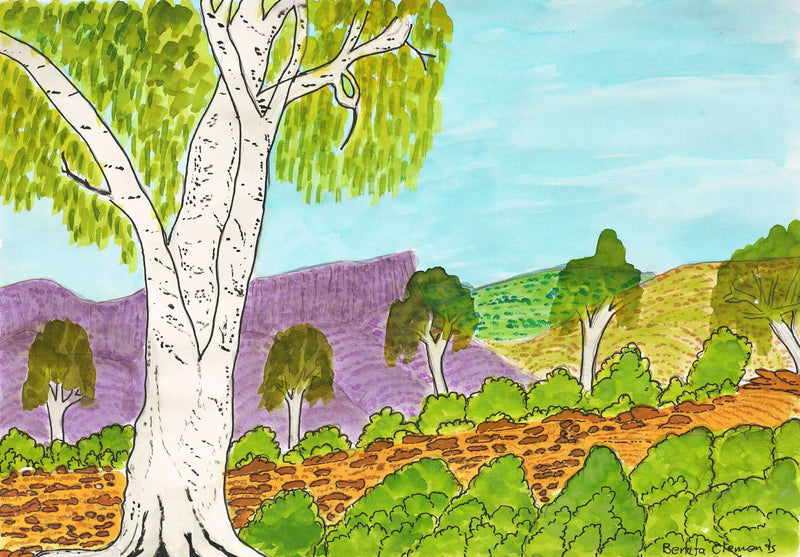 Aboriginal Artwork by Benita Clements, Ghost Gums near Mt Gillen, Alice Springs, 39.5x27.5cm