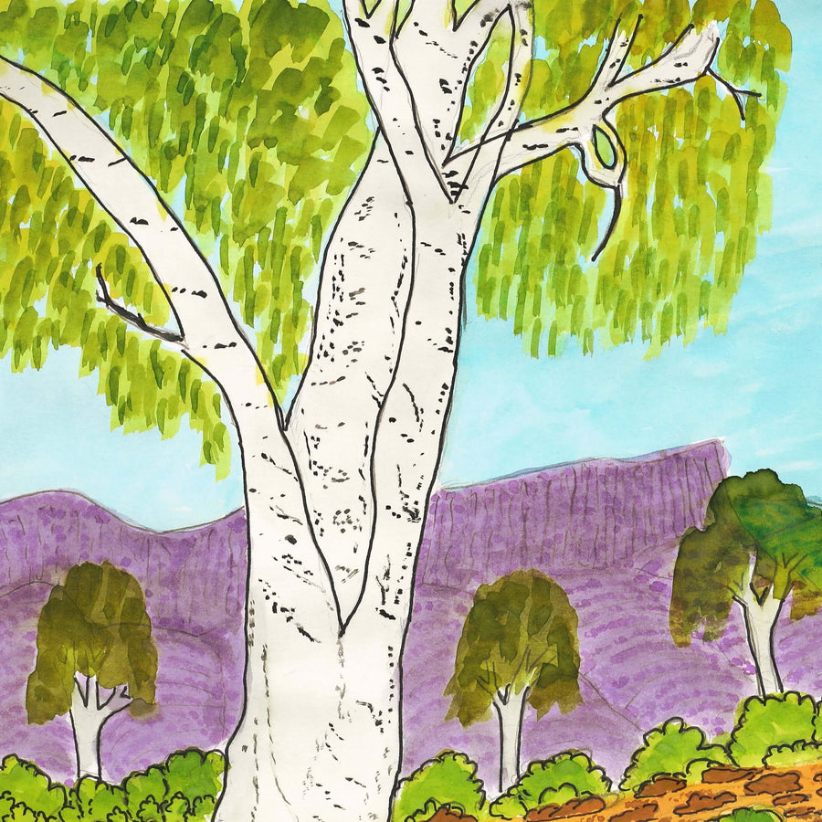 Aboriginal Artwork by Benita Clements, Ghost Gums near Mt Gillen, Alice Springs, 39.5x27.5cm