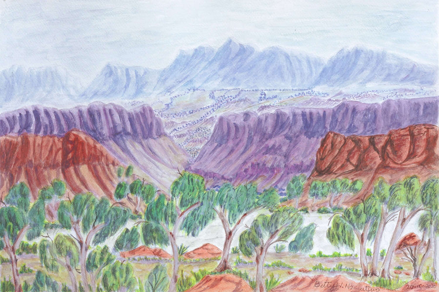 Aboriginal Artwork by Betty Naparula Namatjira Wheeler, Ellery Creek Big Hole, 54x36cm