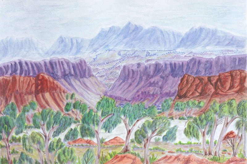 Aboriginal Artwork by Betty Naparula Namatjira Wheeler, Ellery Creek Big Hole, 54x36cm