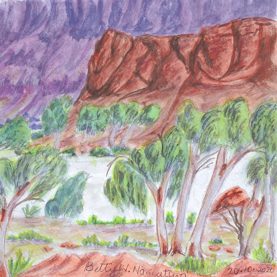 Aboriginal Artwork by Betty Naparula Namatjira Wheeler, Ellery Creek Big Hole, 54x36cm