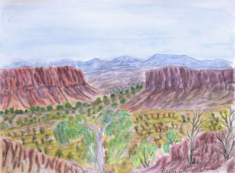 Aboriginal Artwork by Betty Naparula Namatjira Wheeler, West of Areyonga, 36x26.5cm
