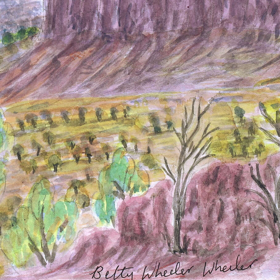 Aboriginal Artwork by Betty Naparula Namatjira Wheeler, West of Areyonga, 36x26.5cm