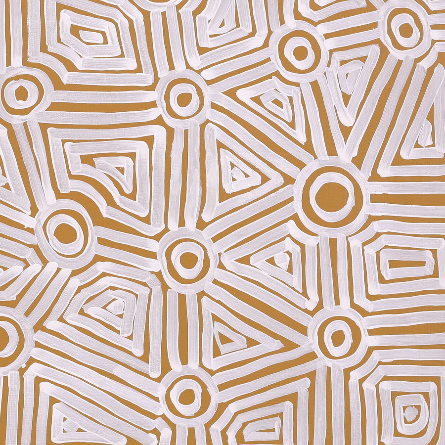 Aboriginal Artwork by Carol Young, Walka Wiru Ngura Wiru, 71x60cm