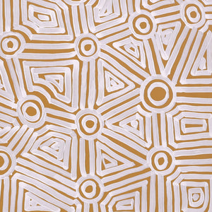 Aboriginal Art by Carol Young, Walka Wiru Ngura Wiru, 71x60cm - ART ARK®