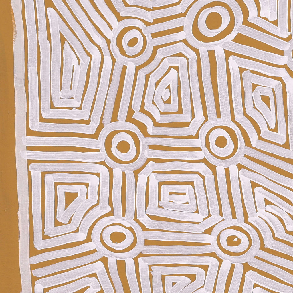 Aboriginal Artwork by Carol Young, Walka Wiru Ngura Wiru, 71x60cm