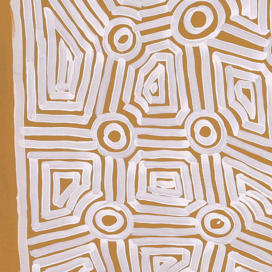 Aboriginal Artwork by Carol Young, Walka Wiru Ngura Wiru, 71x60cm
