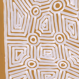 Aboriginal Artwork by Carol Young, Walka Wiru Ngura Wiru, 71x60cm - ART ARK®
