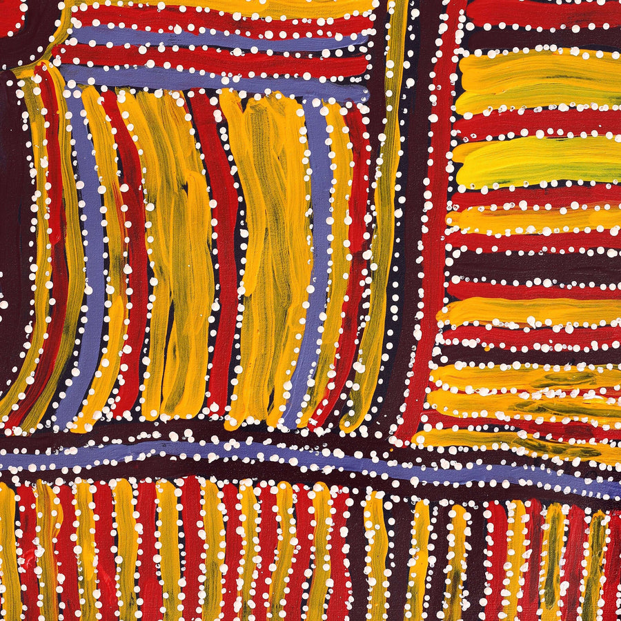 Aboriginal Artwork by Carol Young, Walka Wiru Ngura Wiru, 81x51cm