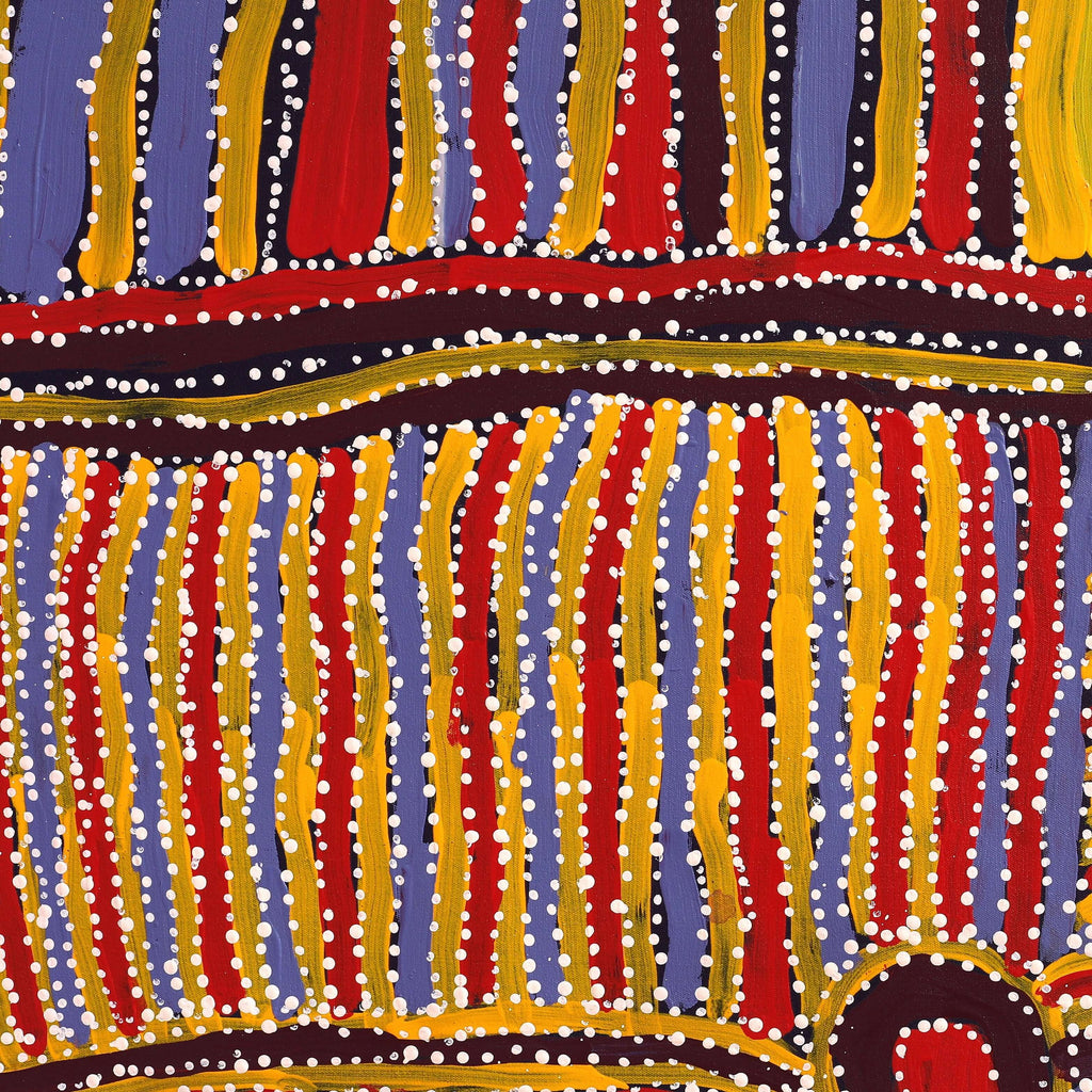 Aboriginal Artwork by Carol Young, Walka Wiru Ngura Wiru, 81x51cm