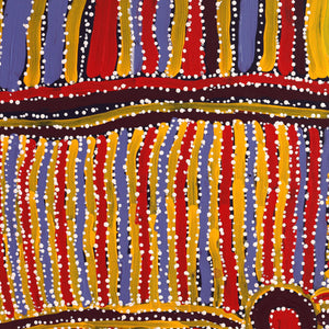 Aboriginal Artwork by Carol Young, Walka Wiru Ngura Wiru, 81x51cm - ART ARK®