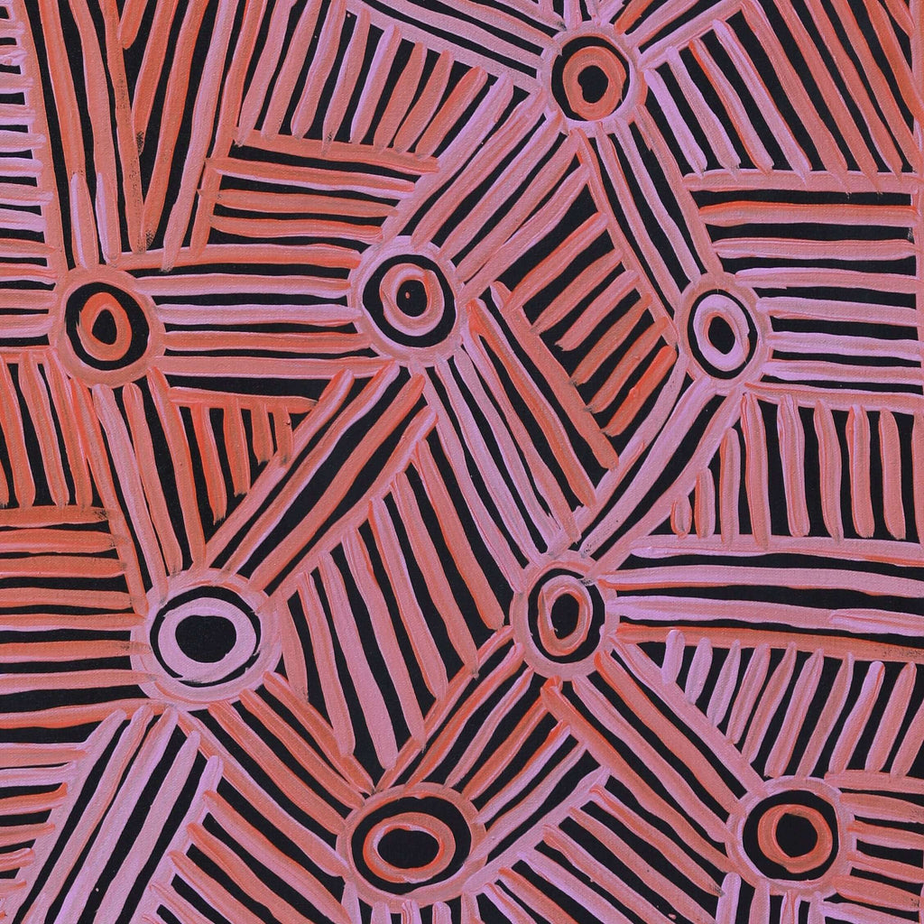 Aboriginal Artwork by Carol Young, Walka Wiru Ngura Wiru, 91x45cm