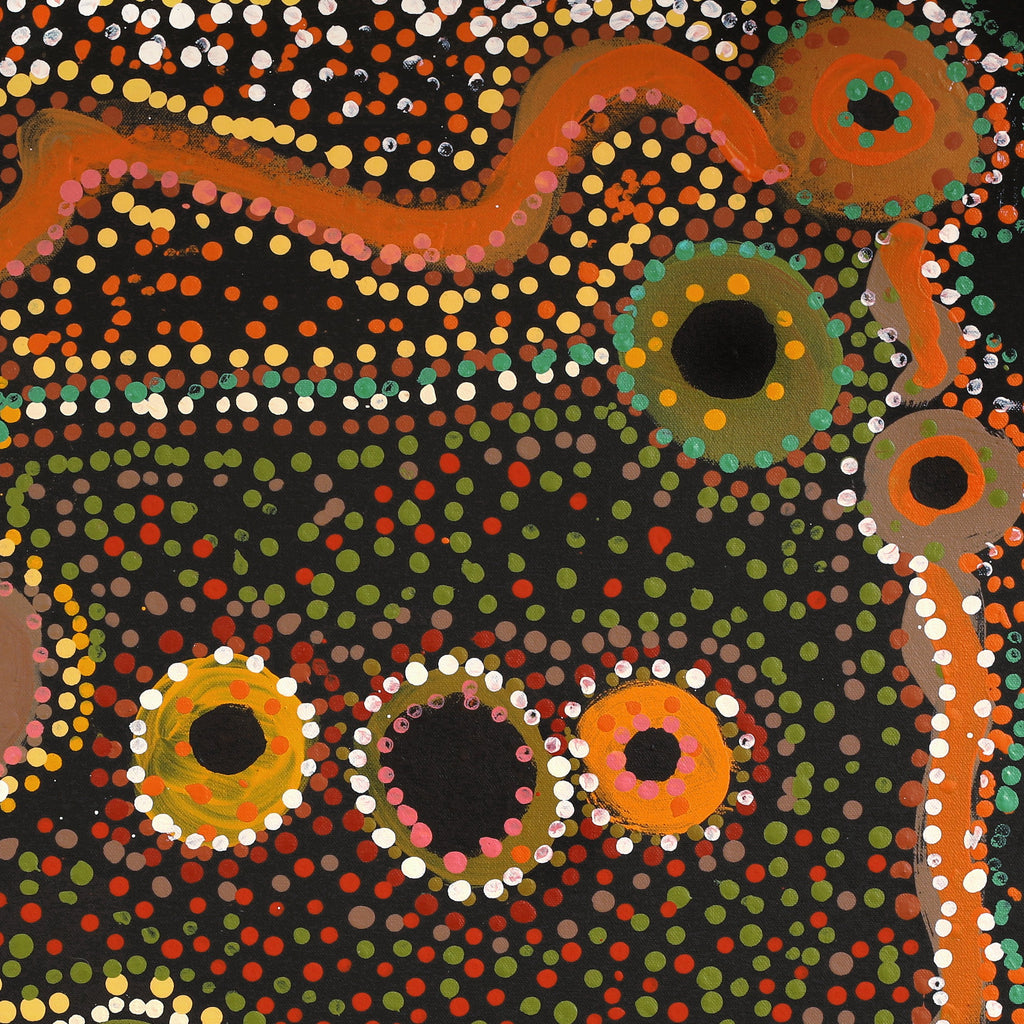 Aboriginal Artwork by Cassaria Young Hogan, Bush Trip, 61x55cm