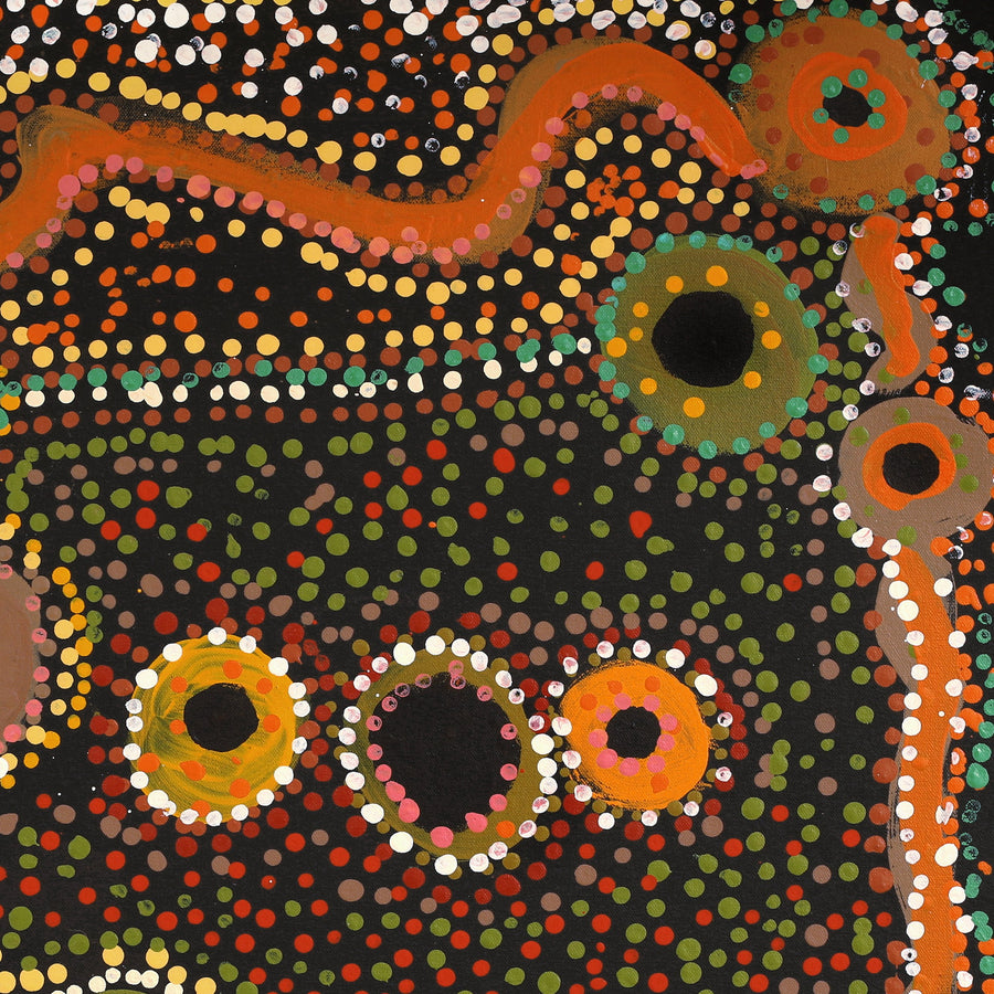 Aboriginal Artwork by Cassaria Young Hogan, Bush Trip, 61x55cm