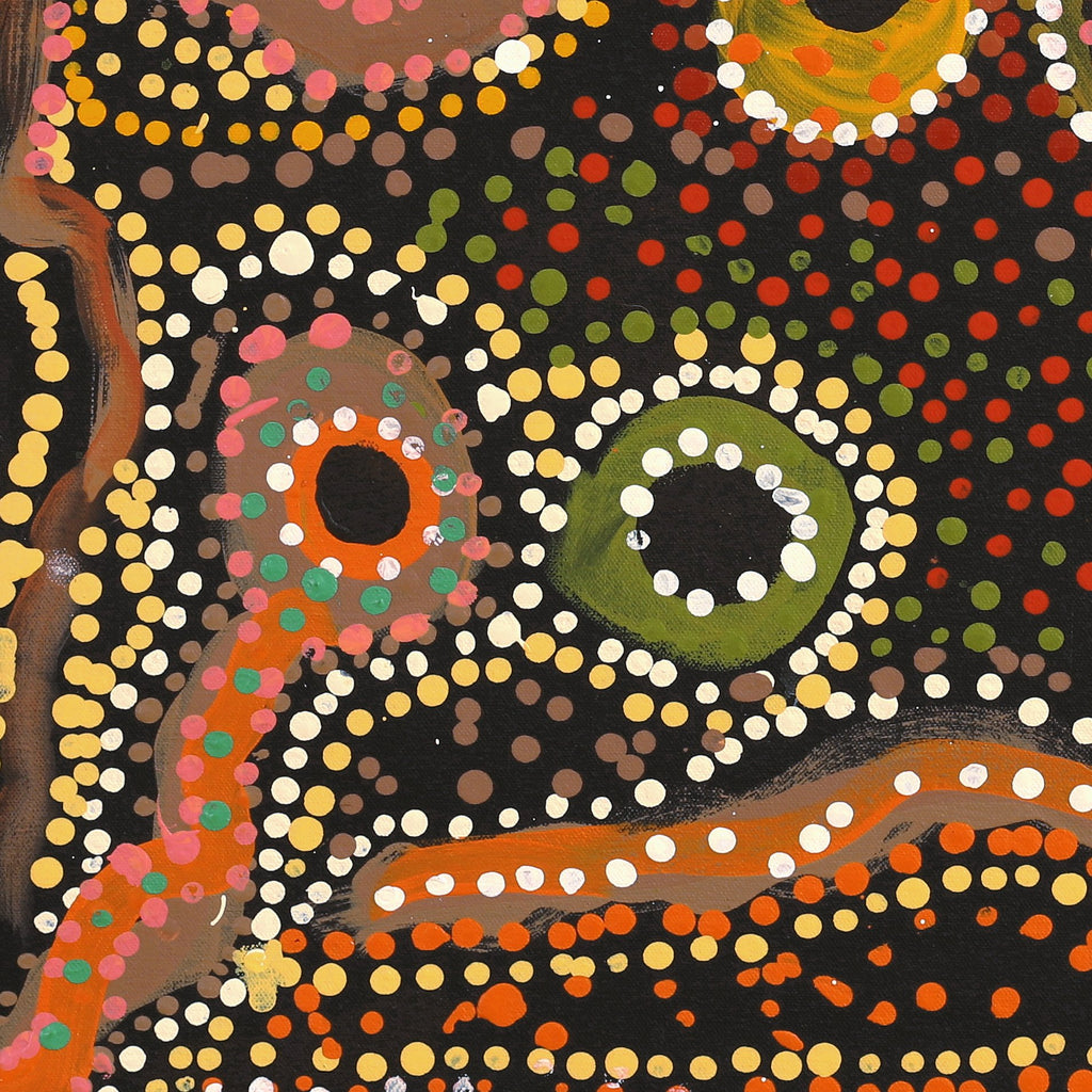 Aboriginal Artwork by Cassaria Young Hogan, Bush Trip, 61x55cm
