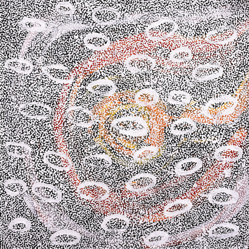 Aboriginal Artwork by Cherylyn Napangardi Granites, Nguru Yurntumu-wana (Country around Yuendumu), 76x76cm