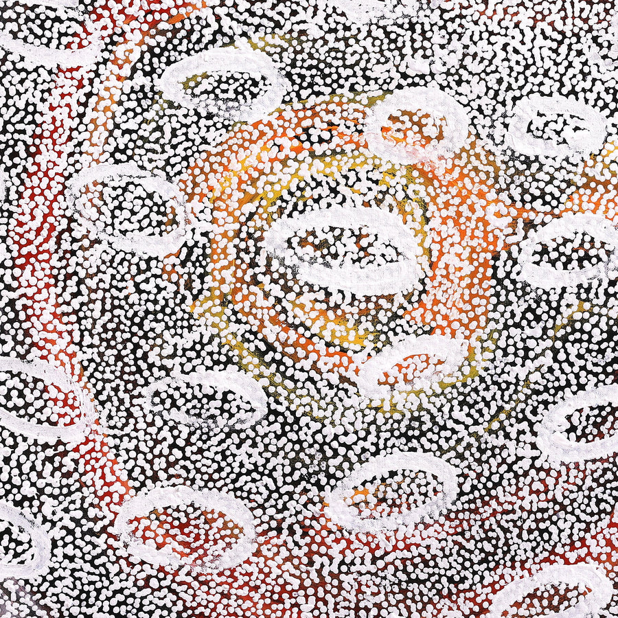 Aboriginal Artwork by Cherylyn Napangardi Granites, Nguru Yurntumu-wana (Country around Yuendumu), 76x76cm