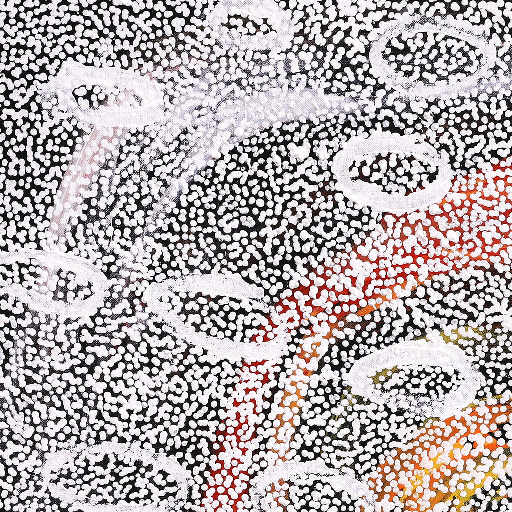 Aboriginal Artwork by Cherylyn Napangardi Granites, Nguru Yurntumu-wana (Country around Yuendumu), 76x76cm