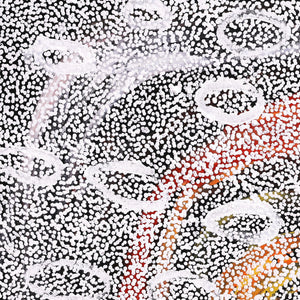 Aboriginal Art by Cherylyn Napangardi Granites, Nguru Yurntumu-wana (Country around Yuendumu), 76x76cm - ART ARK®