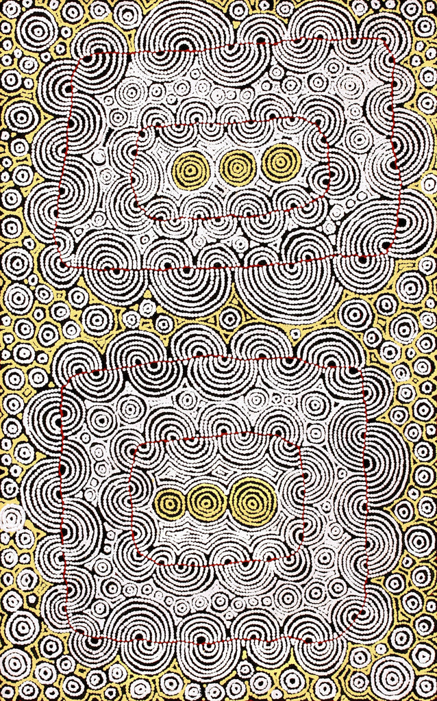 Aboriginal Art by Christine Nakamarra Curtis, Mina Mina Jukurrpa, 122x76cm - ART ARK®