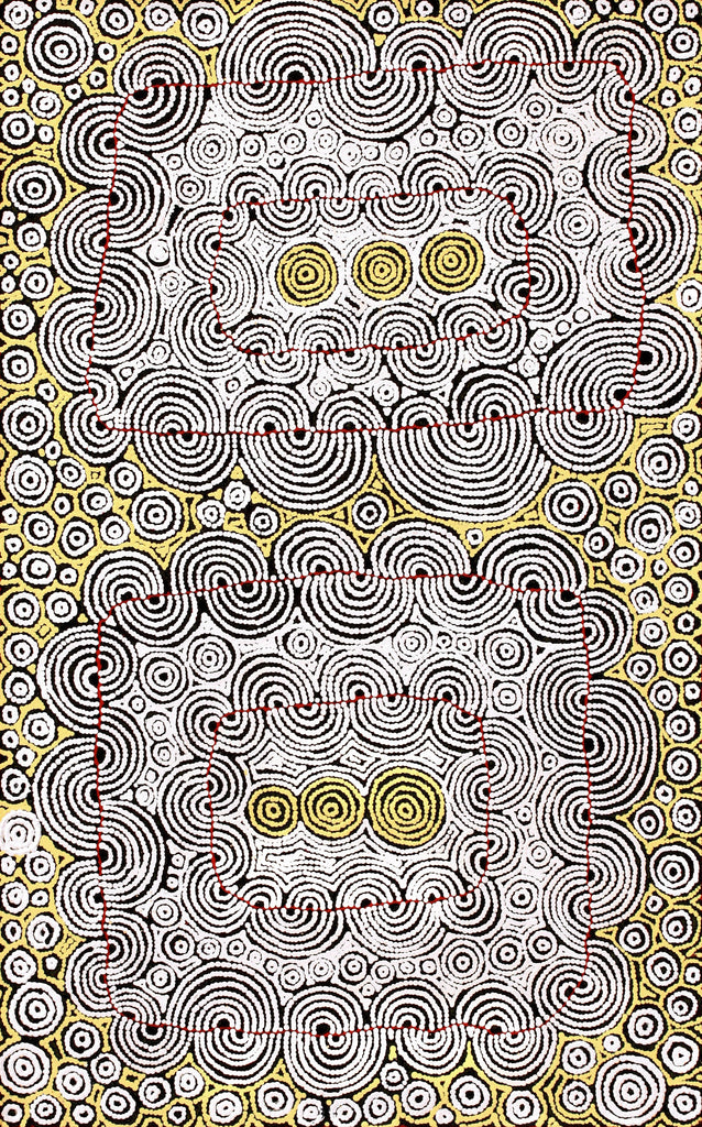 Aboriginal Artwork by Christine Nakamarra Curtis, Mina Mina Jukurrpa, 122x76cm