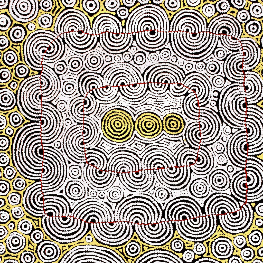 Aboriginal Artwork by Christine Nakamarra Curtis, Mina Mina Jukurrpa, 122x76cm