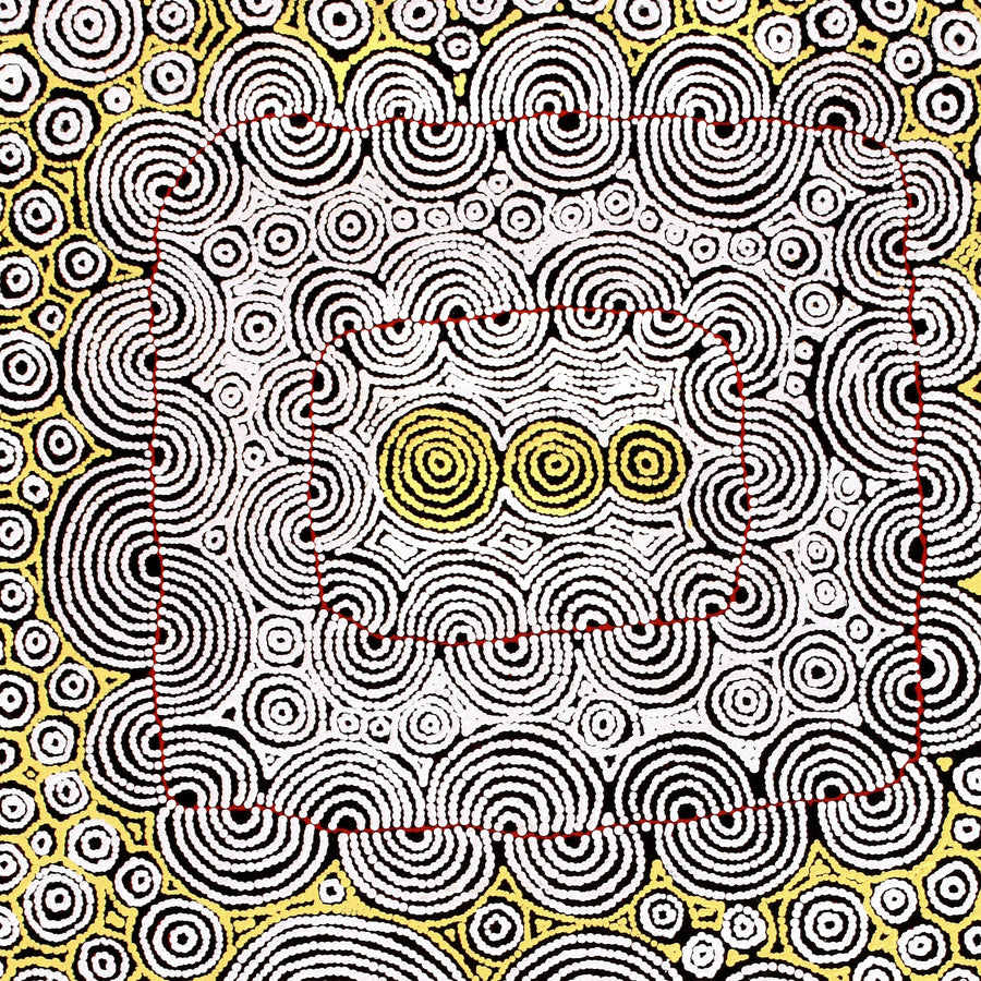 Aboriginal Artwork by Christine Nakamarra Curtis, Mina Mina Jukurrpa, 122x76cm