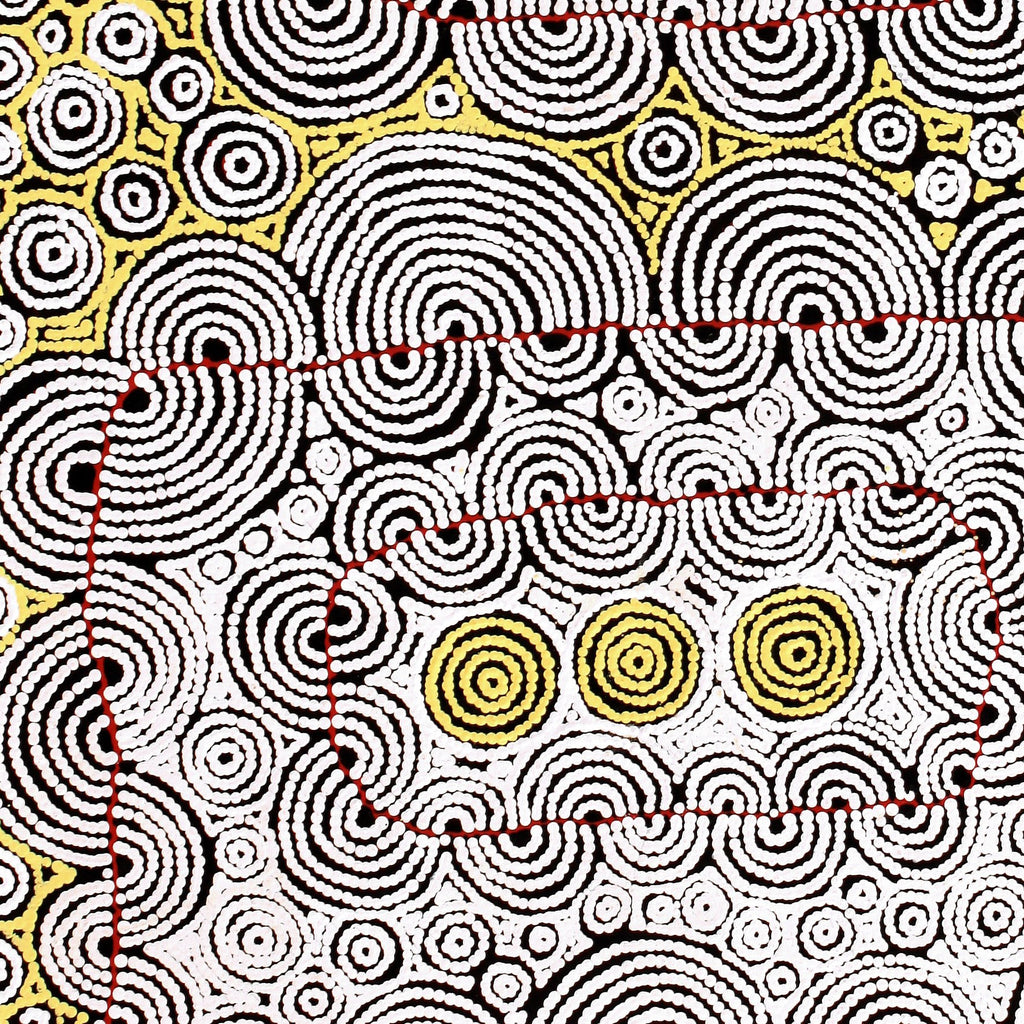 Aboriginal Artwork by Christine Nakamarra Curtis, Mina Mina Jukurrpa, 122x76cm
