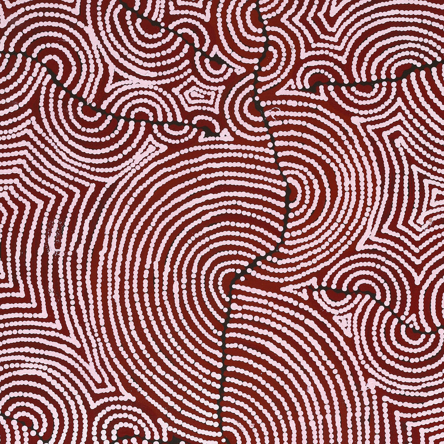 Aboriginal Artwork by Christine Nakamarra Curtis, Mina Mina Jukurrpa, 122x91cm