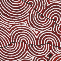 Aboriginal Artwork by Christine Nakamarra Curtis, Mina Mina Jukurrpa, 152x122cm