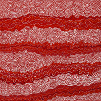 Aboriginal Artwork by Christine Nakamarra Curtis, Mina Mina Jukurrpa, 76x76cm