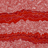Aboriginal Artwork by Christine Nakamarra Curtis, Mina Mina Jukurrpa, 76x76cm