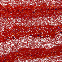 Aboriginal Artwork by Christine Nakamarra Curtis, Mina Mina Jukurrpa, 76x76cm