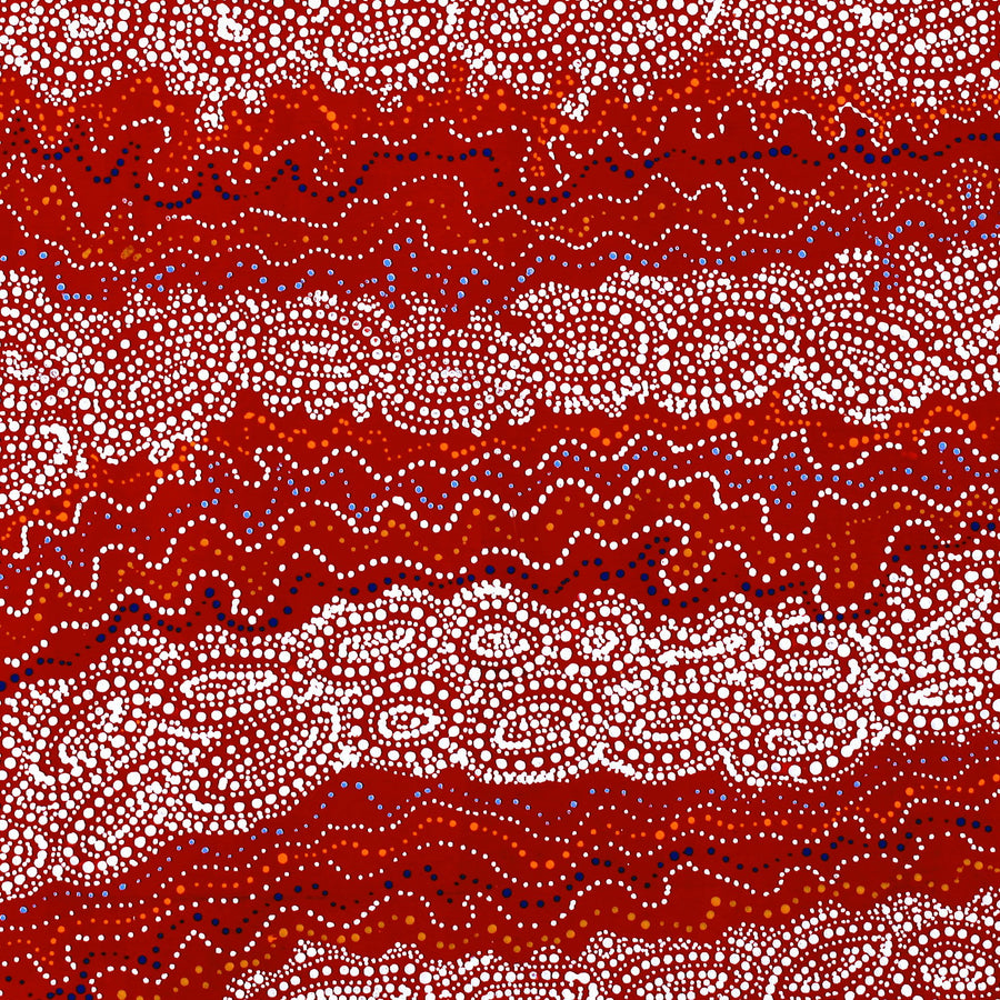 Aboriginal Artwork by Christine Nakamarra Curtis, Mina Mina Jukurrpa, 76x76cm