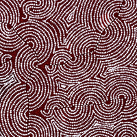 Aboriginal Artwork by Christine Nakamarra Curtis, Mina Mina Jukurrpa, 91x61cm