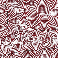 Aboriginal Artwork by Christine Nakamarra Curtis, Mina Mina Jukurrpa, 91x91cm