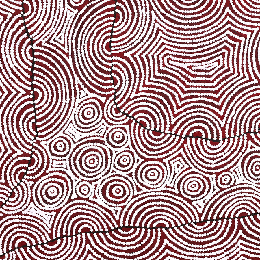 Aboriginal Artwork by Christine Nakamarra Curtis, Mina Mina Jukurrpa, 91x91cm