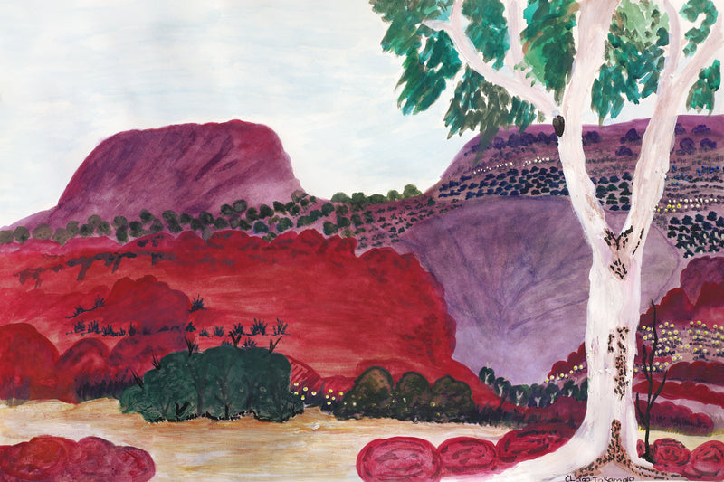 Aboriginal Artwork by Clara Inkamala, Entrance of Palm Valley, 54x36cm