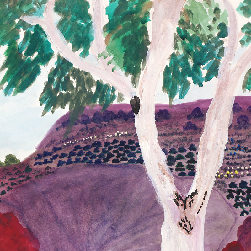 Aboriginal Artwork by Clara Inkamala, Entrance of Palm Valley, 54x36cm
