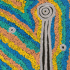 Aboriginal Art by Delena Napaljarri Turner, Pikilyi Jukurrpa (Vaughan Springs Dreaming), 91x61cm - ART ARK®