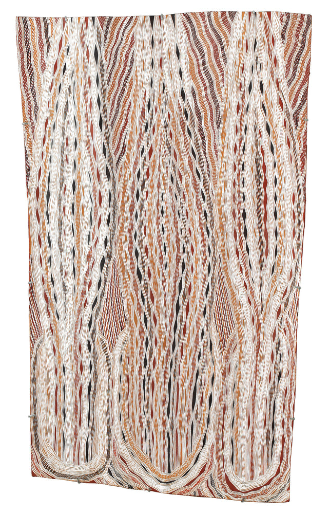 Aboriginal Artwork by Djambawa Marawili AM, Gurtha, 128x75cm Bark