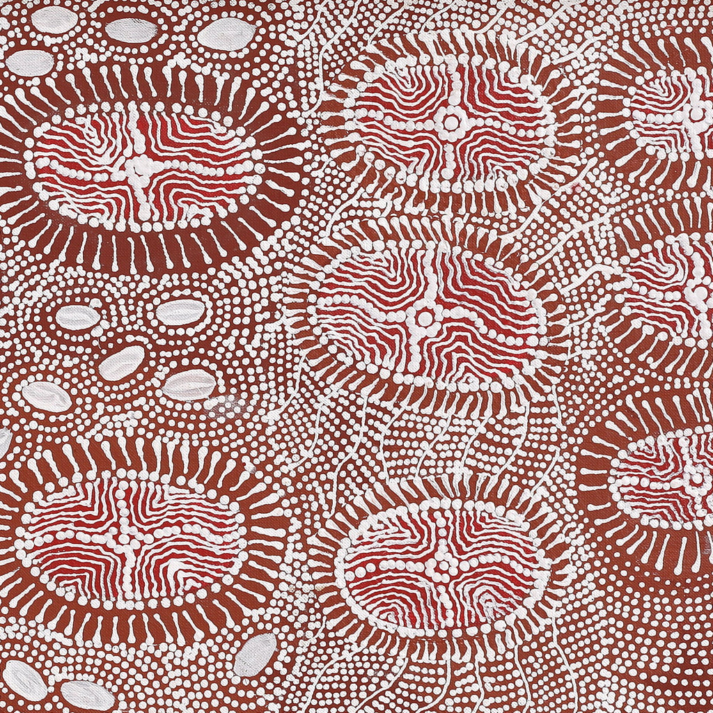 Aboriginal Artwork by Dulcie Nangala Frank, Ngarlkirdi Jukurrpa (Witchetty Grub Dreaming), 107x30cm