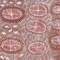 Aboriginal Artwork by Dulcie Nangala Frank, Ngarlkirdi Jukurrpa (Witchetty Grub Dreaming), 107x30cm