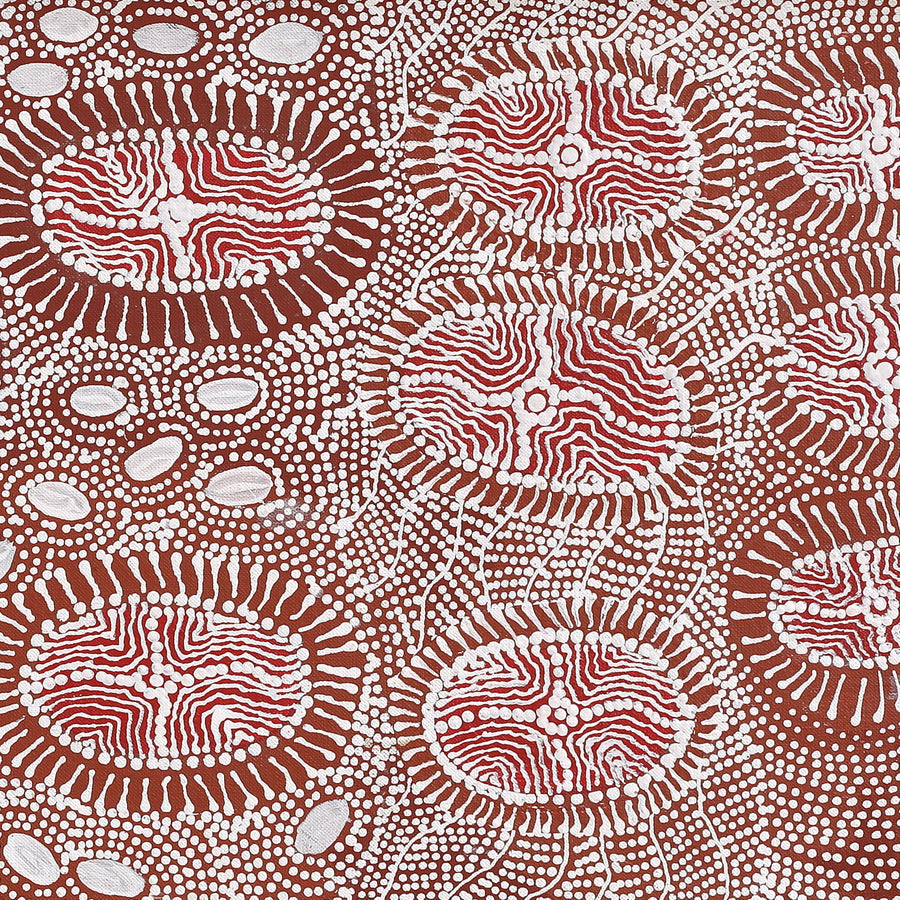 Aboriginal Artwork by Dulcie Nangala Frank, Ngarlkirdi Jukurrpa (Witchetty Grub Dreaming), 107x30cm