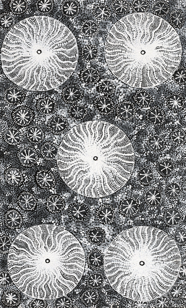Aboriginal Artwork by Dulcie Nangala Frank, Ngarlkirdi Jukurrpa (Witchetty Grub Dreaming), 76x46cm